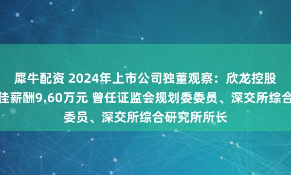 犀牛配资 2024年上市公司独董观察：欣龙控股独立董事何佳薪酬9.60万元 曾任证监会规划委委员、深交所综合研究所所长