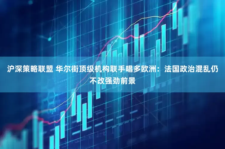 沪深策略联盟 华尔街顶级机构联手唱多欧洲：法国政治混乱仍不改强劲前景